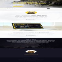 Портфолио trustinghyena